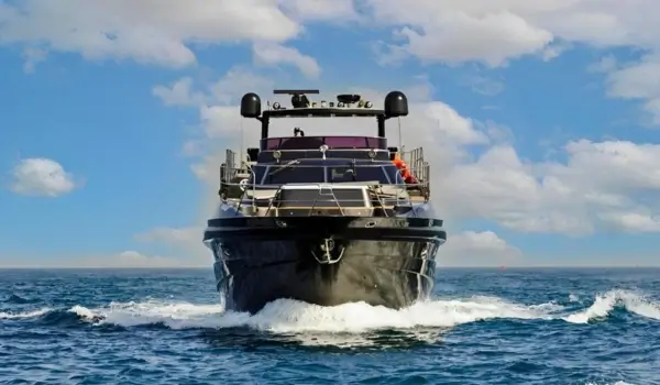 Premium Black Diamond